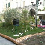 mostra tigullio_fenice