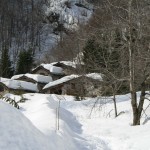 E' la prima nevicata significativa dell'anno