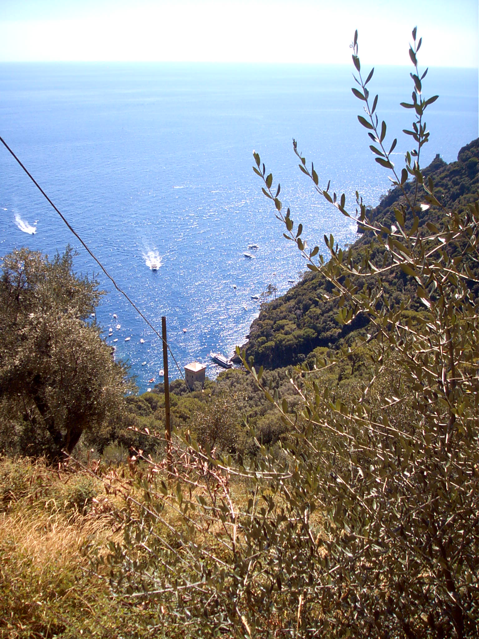 Il Parco di Portofino ancora fuori dalla lista Unesco