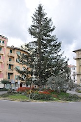 Marsano e la residenzialità: “Occorrono nuove strategie” Marsano e la residenzialità: “Occorrono nuove strategie”