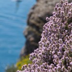 concorso portofino1