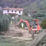 volontari in azione