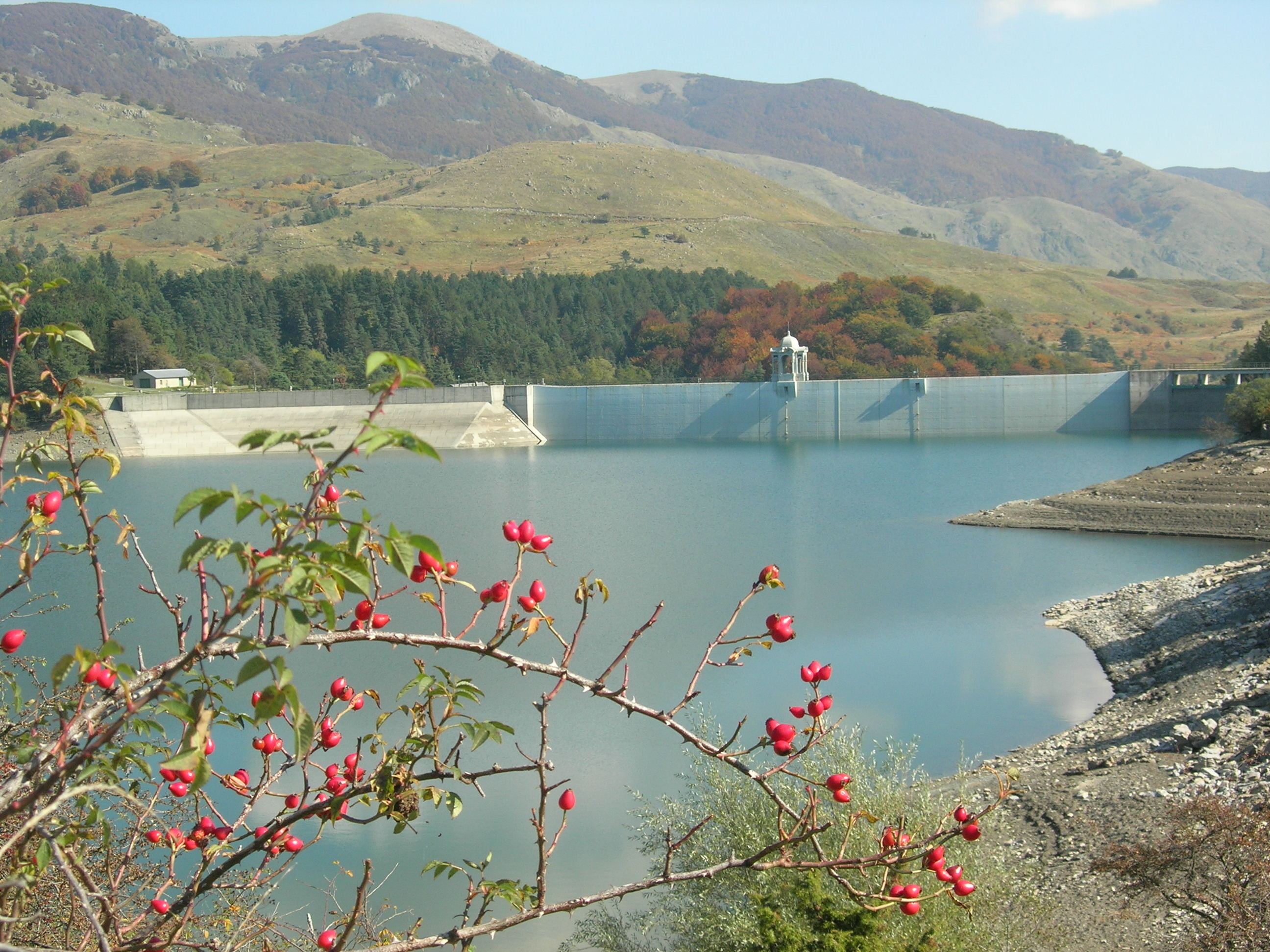 Valorizzare il bosco e l’entroterra: incontro a Giacopiane Valorizzare il bosco e l’entroterra: incontro a Giacopiane