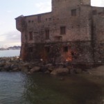 IMG_20110328_185750