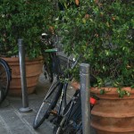 Cinque giorni di prognosi per difendere una bici