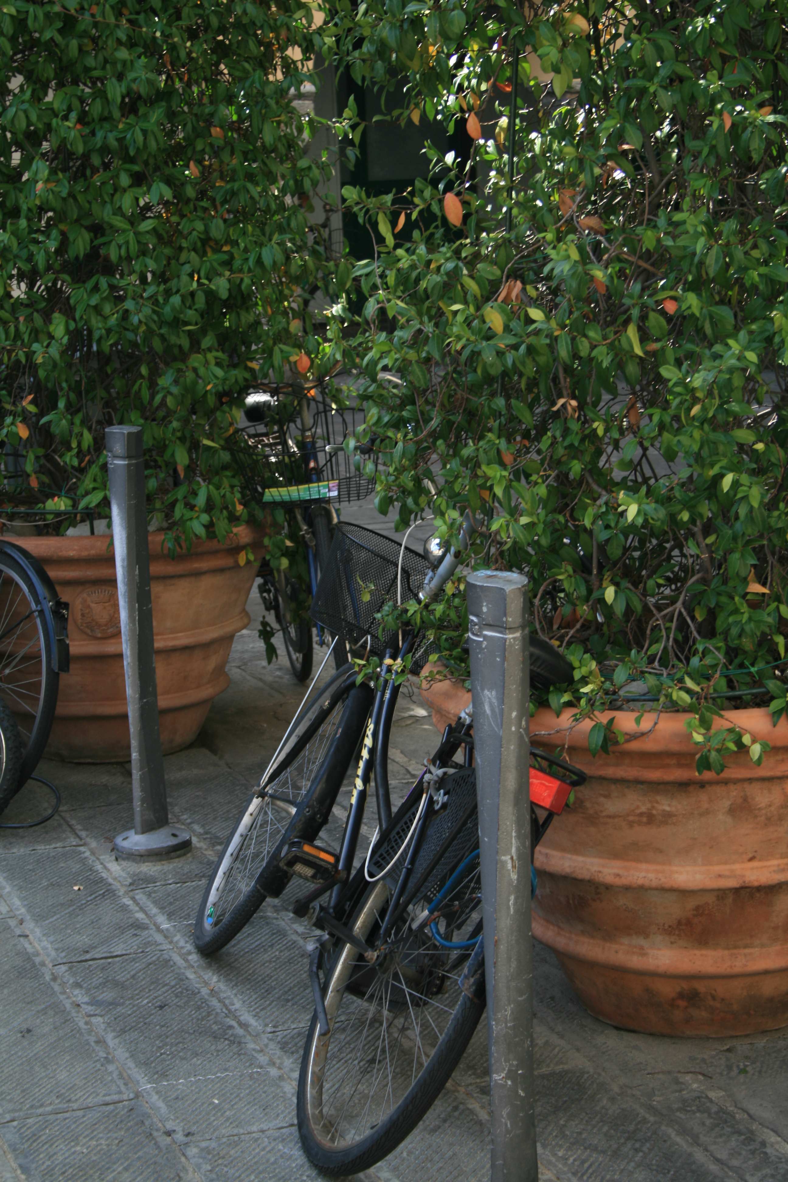 Andrea Carannante (Pcl): “Santa Margherita dica no al bike sharing”