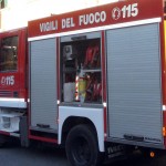 I vigili del fuoco e una guardia zoofila l'hanno soccorso