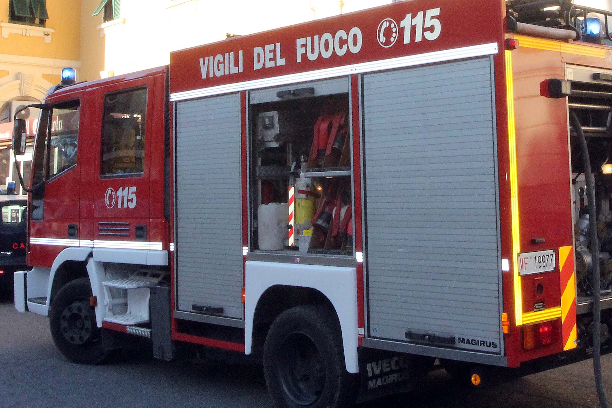 I vigili del fuoco e una guardia zoofila l