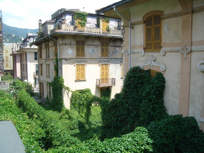 “C’è una giungla nel centro di Rapallo”