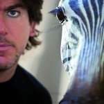 zebra_VITALONI