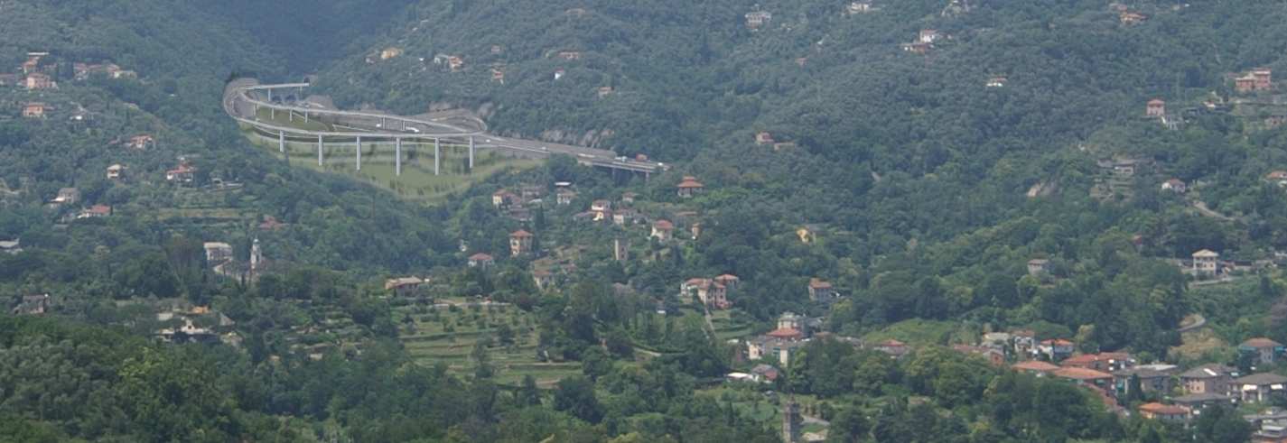 Lotta al cinipide, domani la Regione interviene in Val Fontanabuona