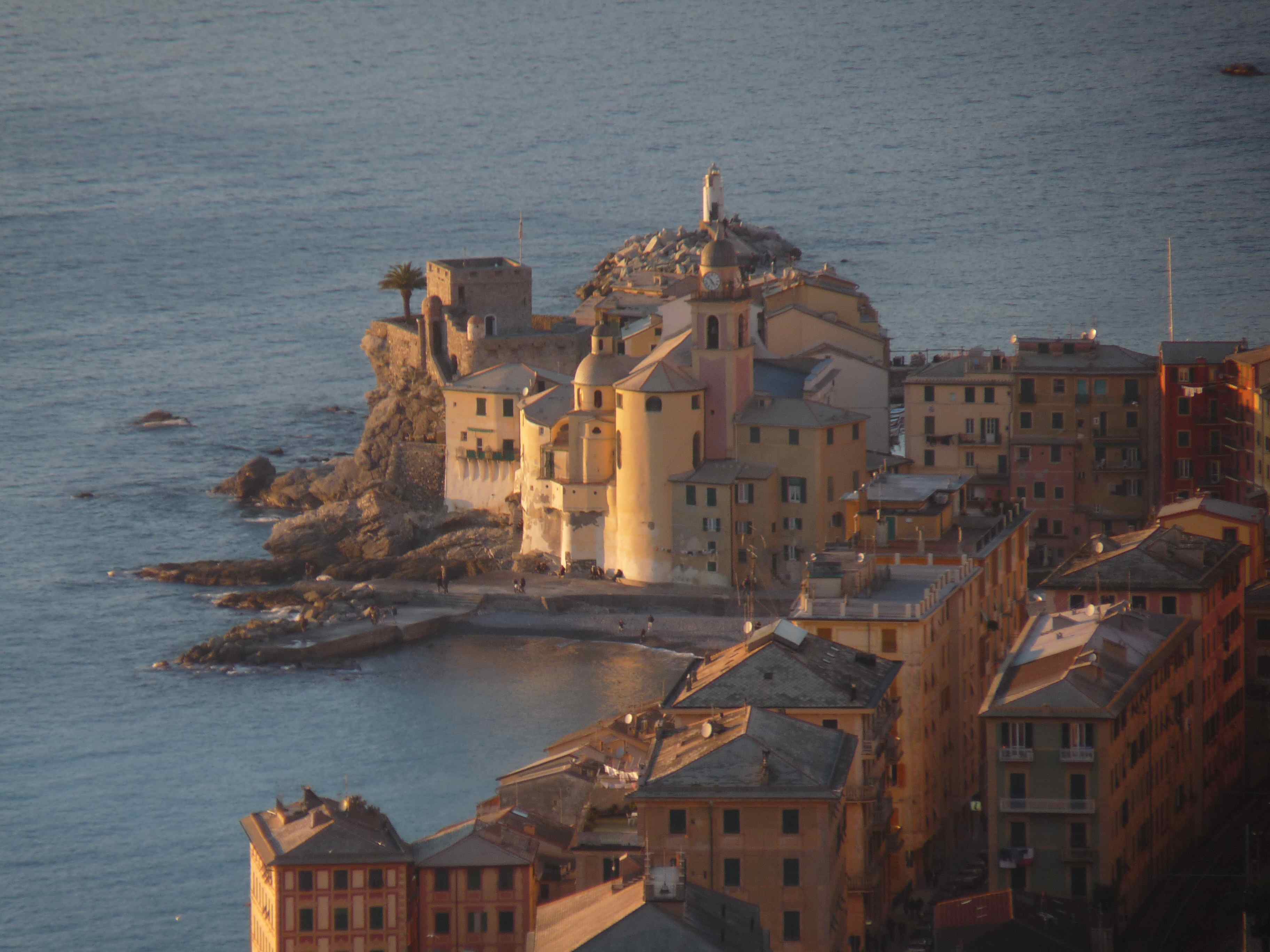 Pino di Camogli, iniziate stamattina le operazioni di taglio