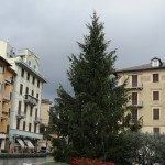 sml albero Natale 2011