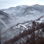 neve