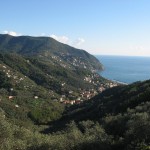 moneglia da crova