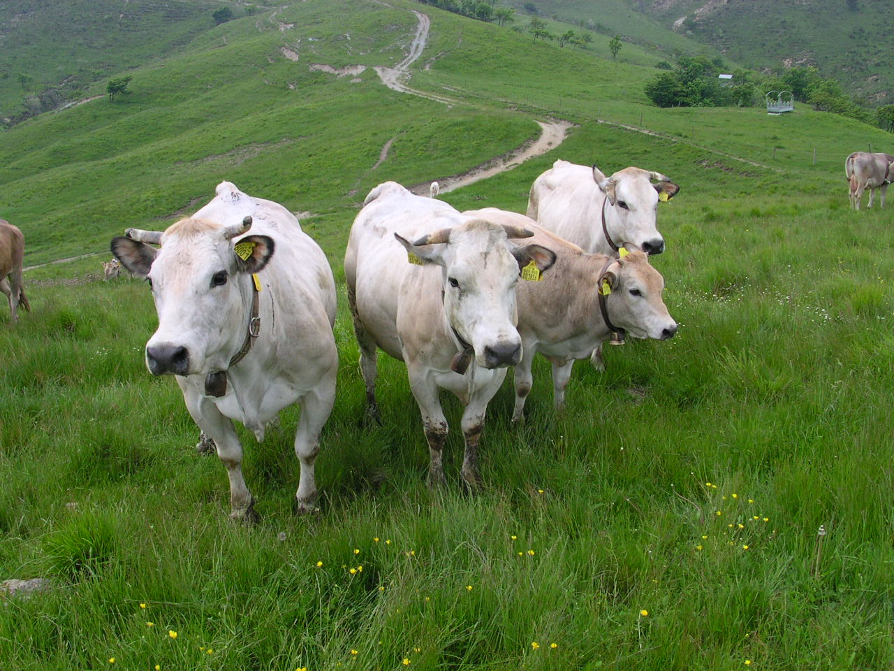 Contributi per il mondo agricolo