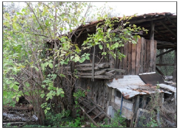 Bosco degli Elfi di Maccaferro, da lunedì arriva lo chalet