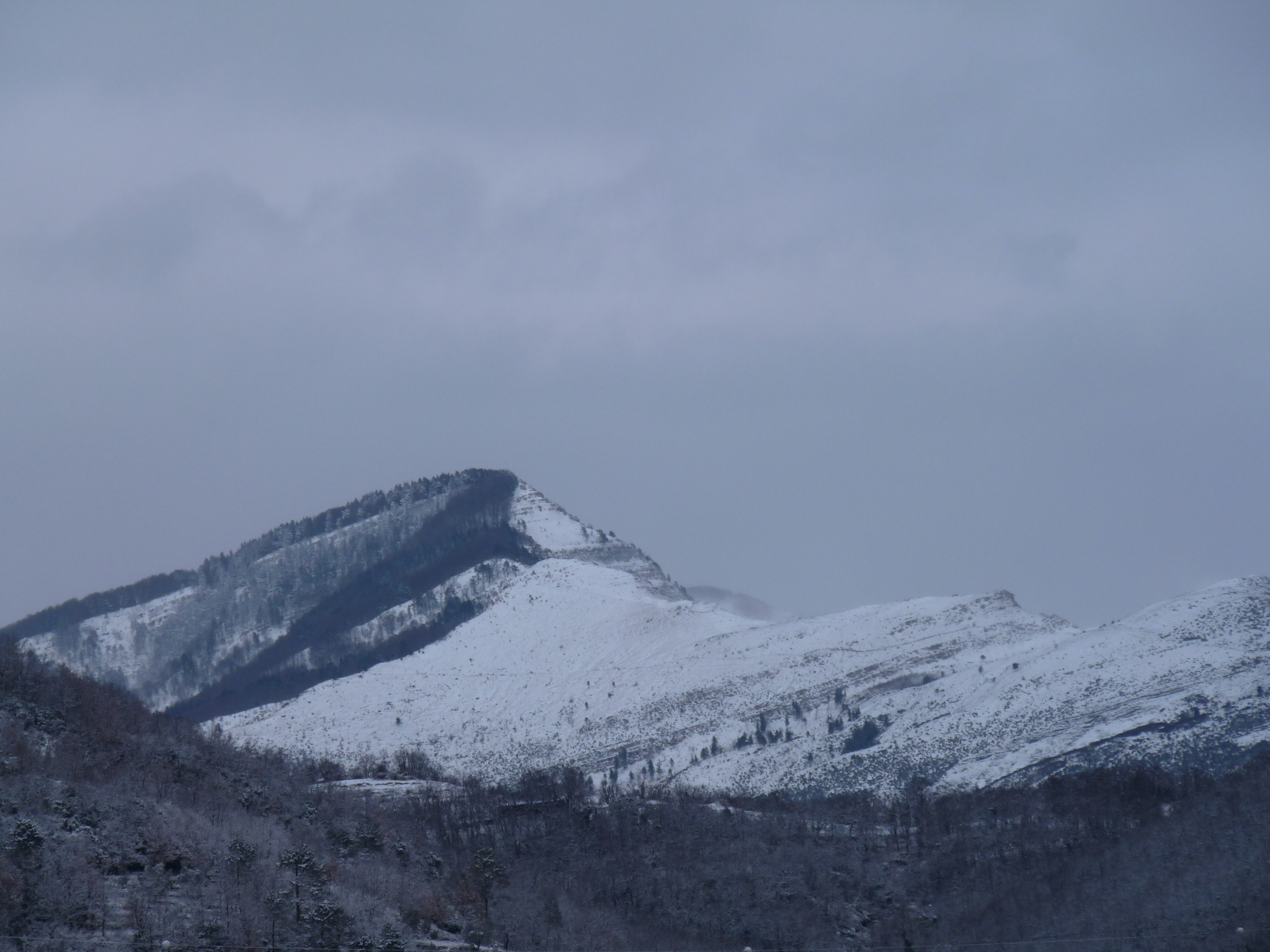 Tornerà la neve nell