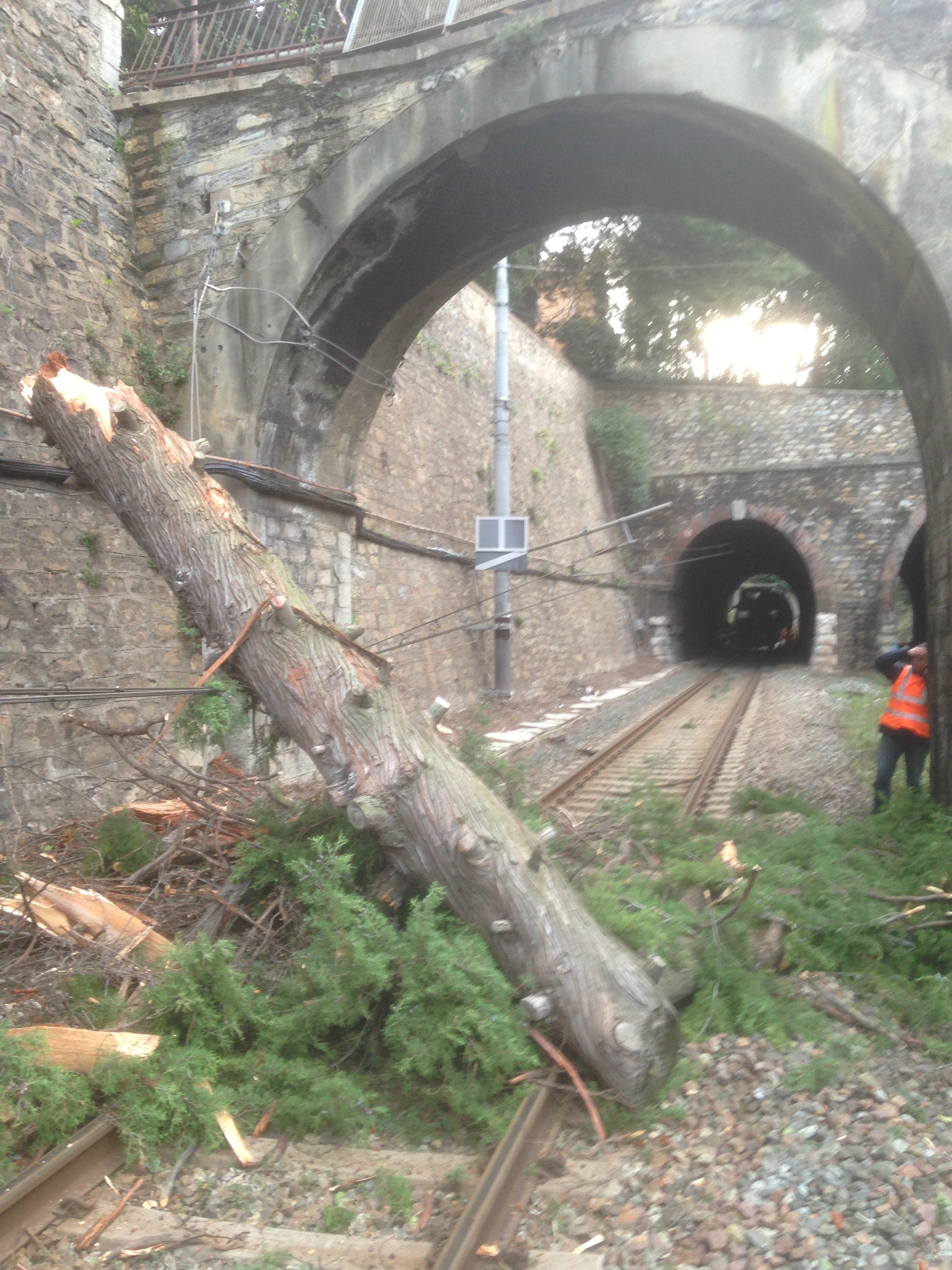 E’ tornata regolare la circolazione ferroviaria fra Recco e Nervi