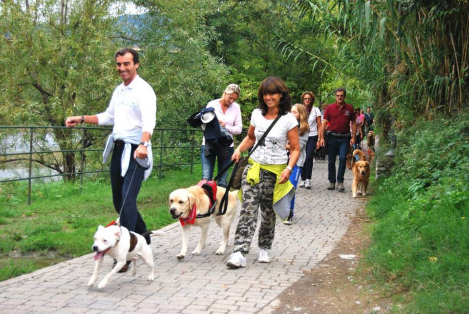 Successo per la manifestazione “Una zampa per la vita” Successo per la manifestazione “Una zampa per la vita”