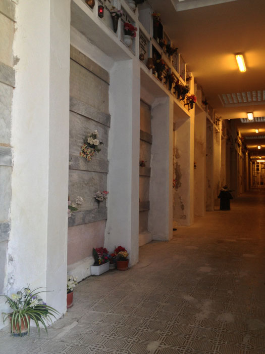 Santa Margherita, verso la fine il restauro del viale del cimitero Santa Margherita, verso la fine il restauro del viale del cimitero