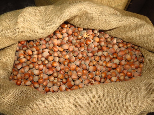 nocciola