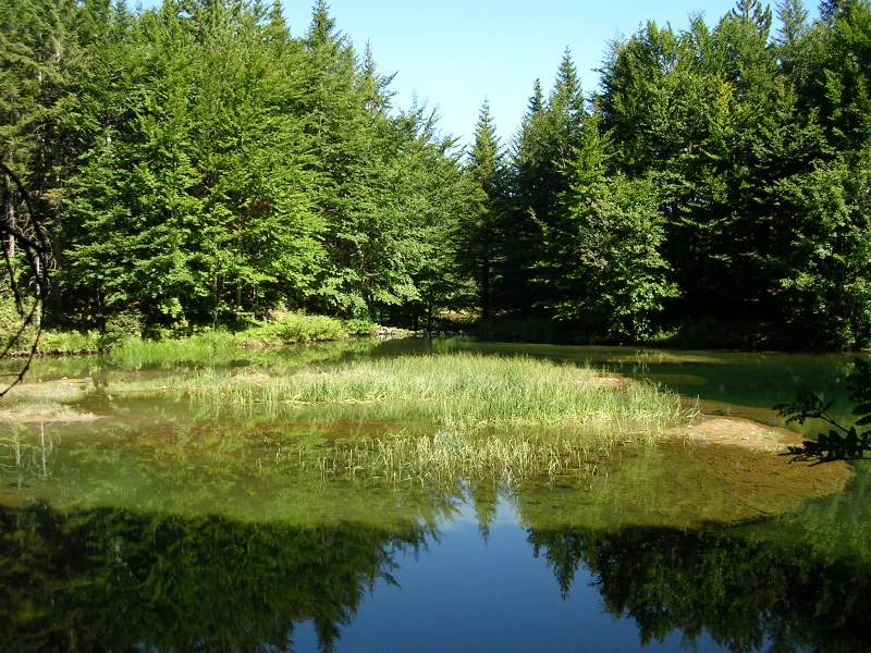 Escursione guidata all’anello del Lago delle Lame Escursione guidata all’anello del Lago delle Lame