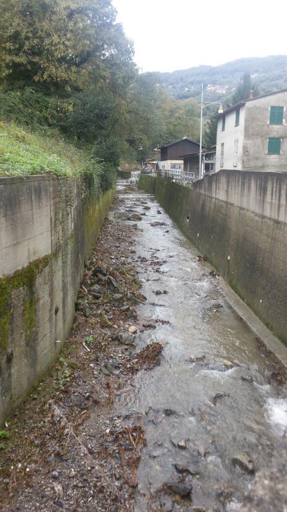 Il torrente ingombro di detriti e legname dopo le piogge