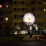 La margherita luminosa da poco installata