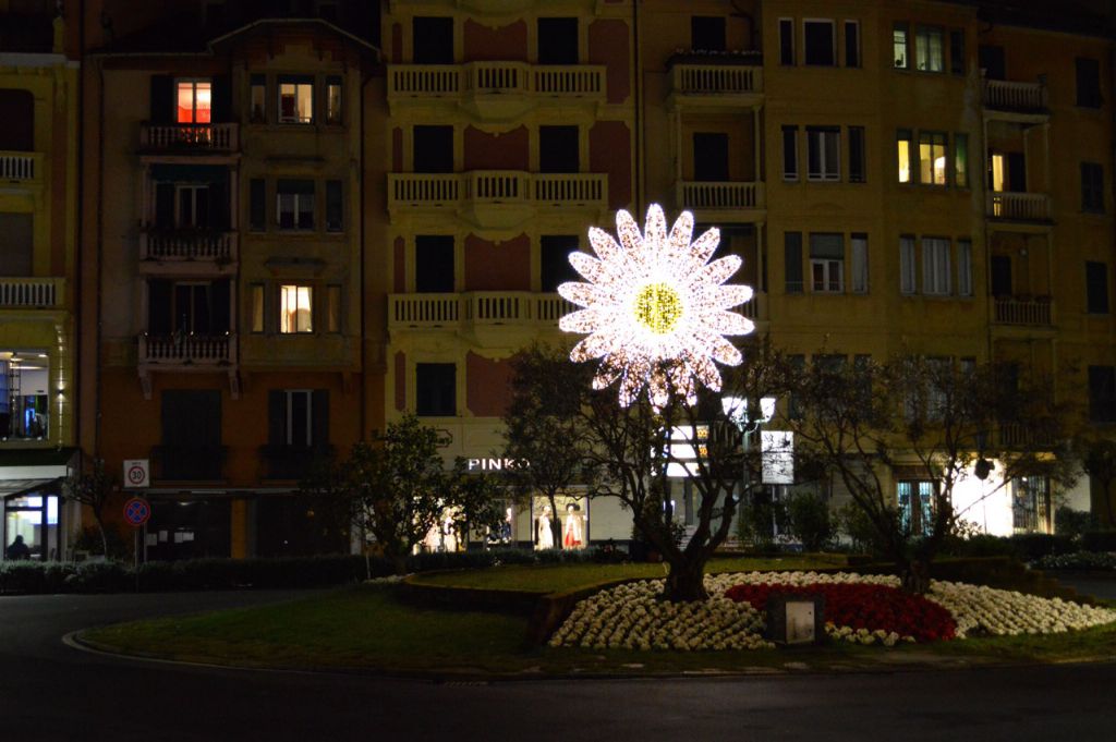 La margherita luminosa da poco installata