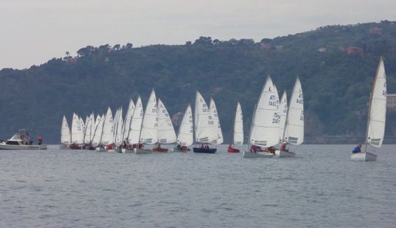 Spettacolo di vele nel mare di Rapallo