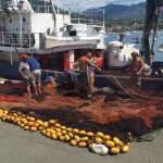 Solidarietà dei pescatori per una barca di La Spezia