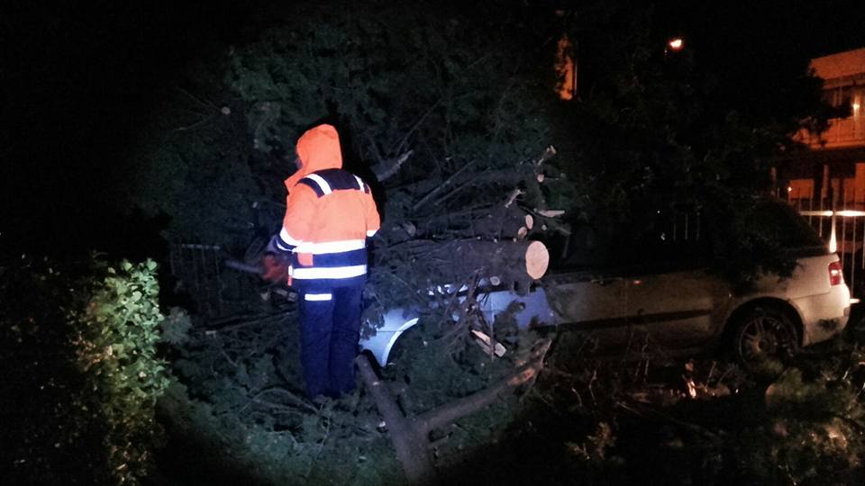 Problemi per il vento a Sestri Levante, Chiavari chiude parchi e cimiteri
