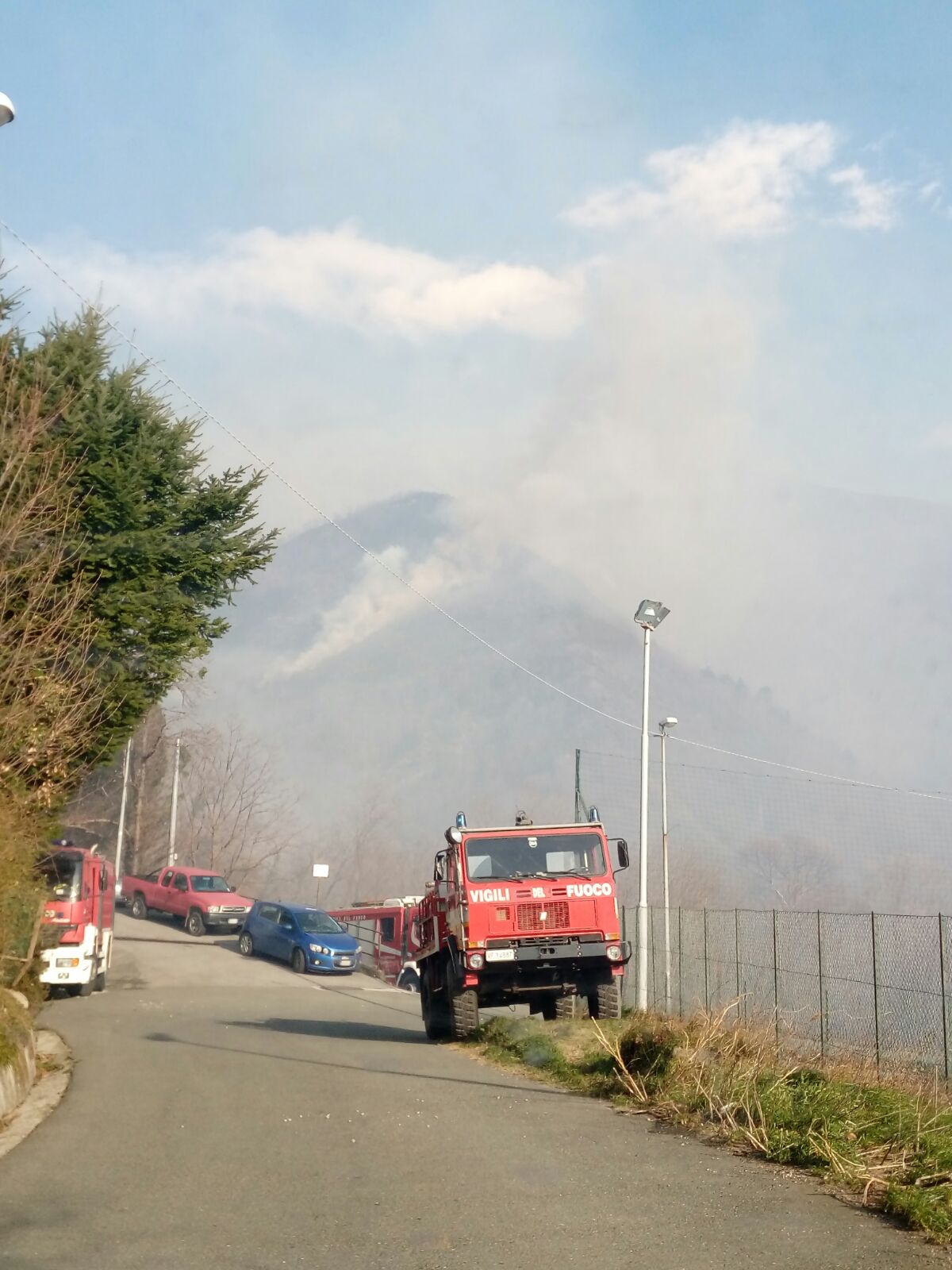 Gli incendi hanno bruciato cinquemila ettari di bosco in Liguria Gli incendi hanno bruciato cinquemila ettari di bosco in Liguria