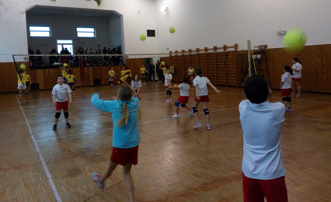 Pallavolo giovanile protagonista a Cicagna grazie al trofeo organizzato dai Tigullio Sharks Pallavolo giovanile protagonista a Cicagna grazie al trofeo organizzato dai Tigullio Sharks