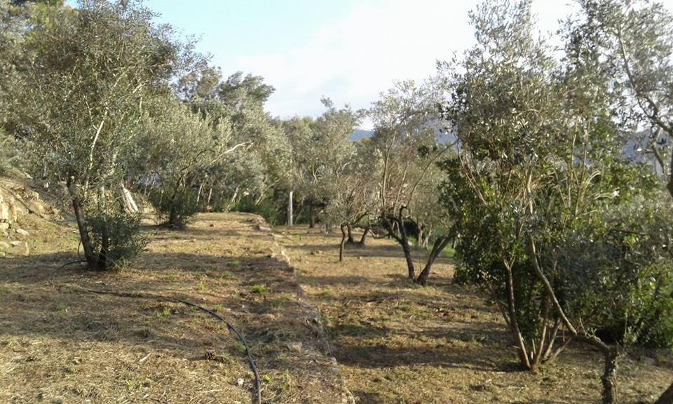 Sestri Levante, allestiti i primi 12 orti urbani