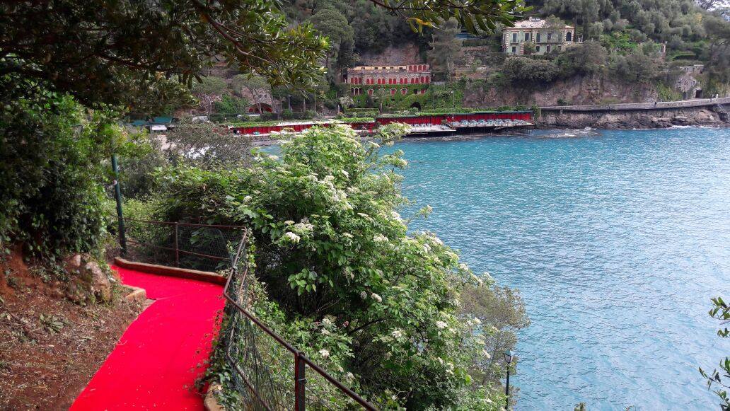 Red Carpet, Berrino: “Presenze aumentate del 10% rispetto all’anno scorso” Red Carpet, Berrino: “Presenze aumentate del 10% rispetto all’anno scorso”