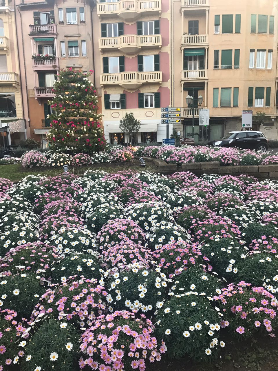 Il Comune di Santa Margherita regala margherite