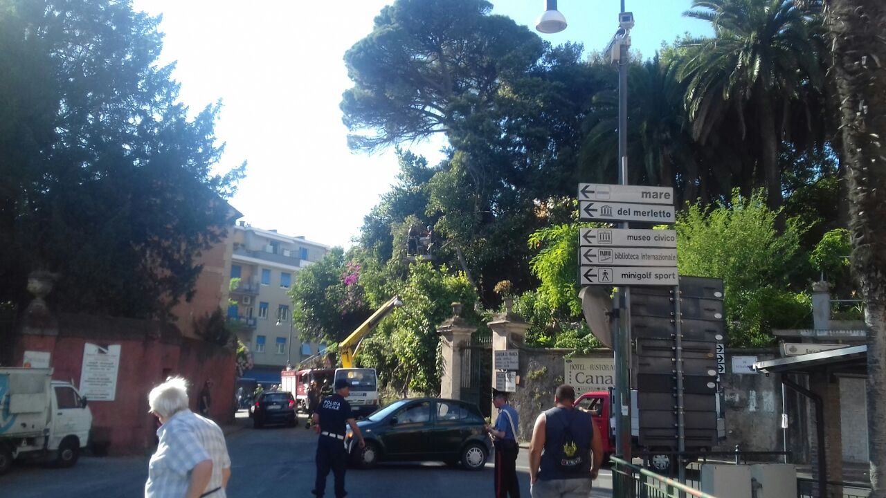 Albero si schianta sull’Aurelia a Rapallo, gravissime ripercussioni sul traffico