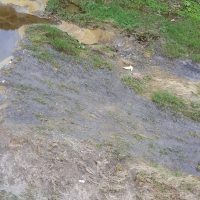 pulizia rio