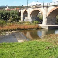 Entella