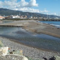 Entella