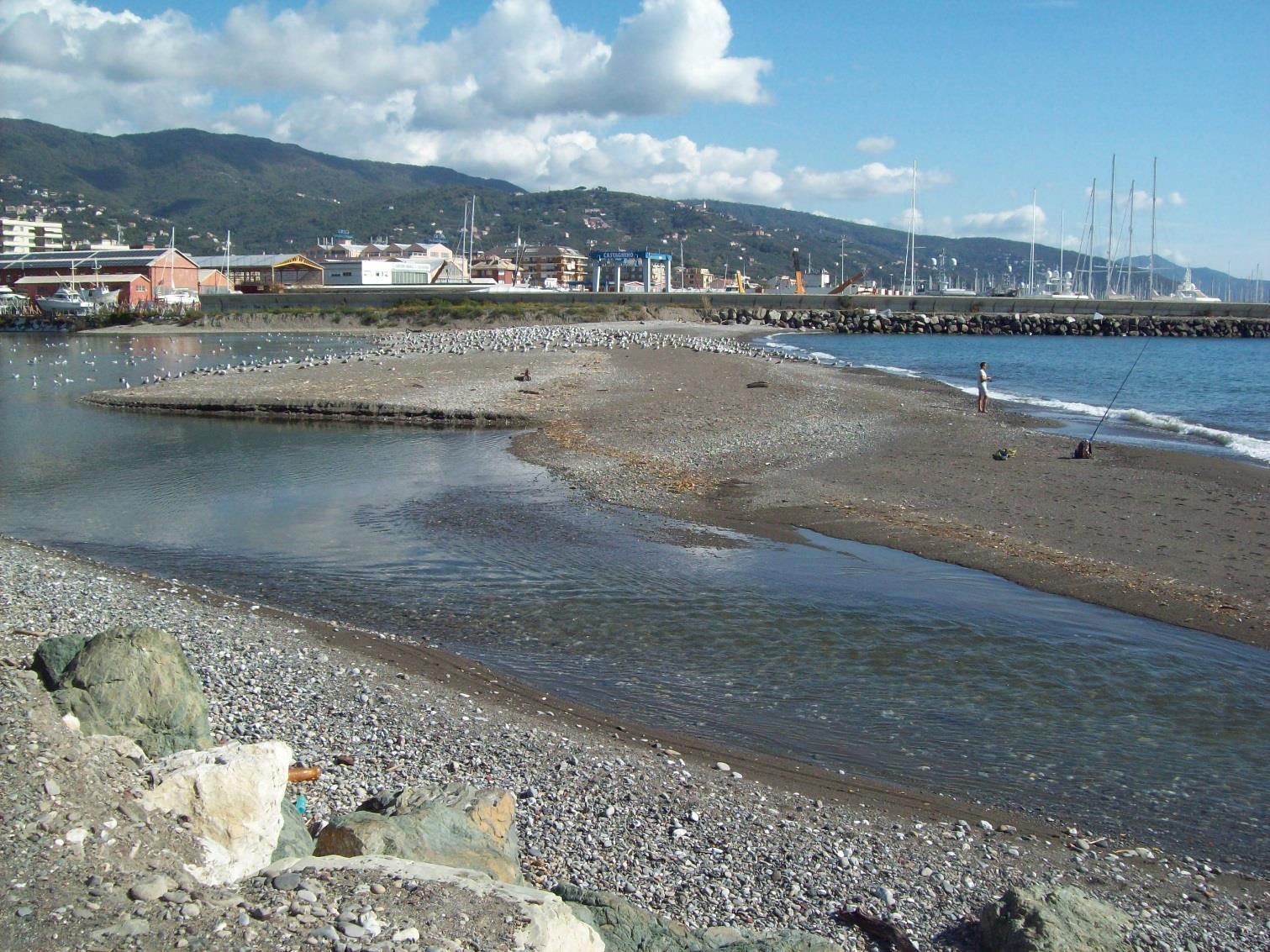 Entella