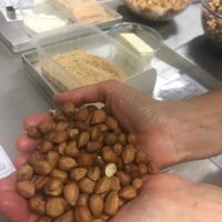 Nocciola Day