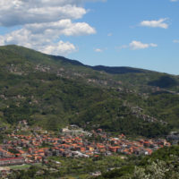 Cogorno