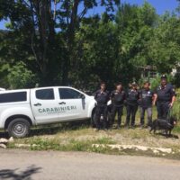 Carabinieri forestali