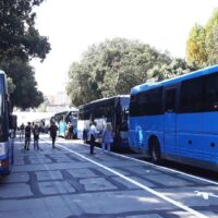 Bus Rolli