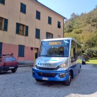 Bus Marsano
