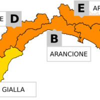allerta