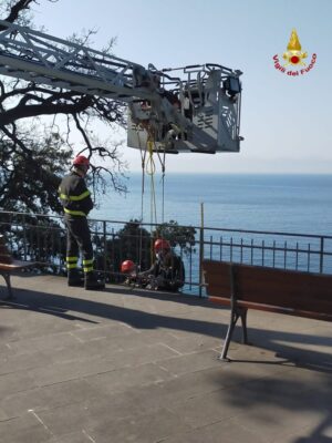 Frana Camogli2 Frana Camogli2